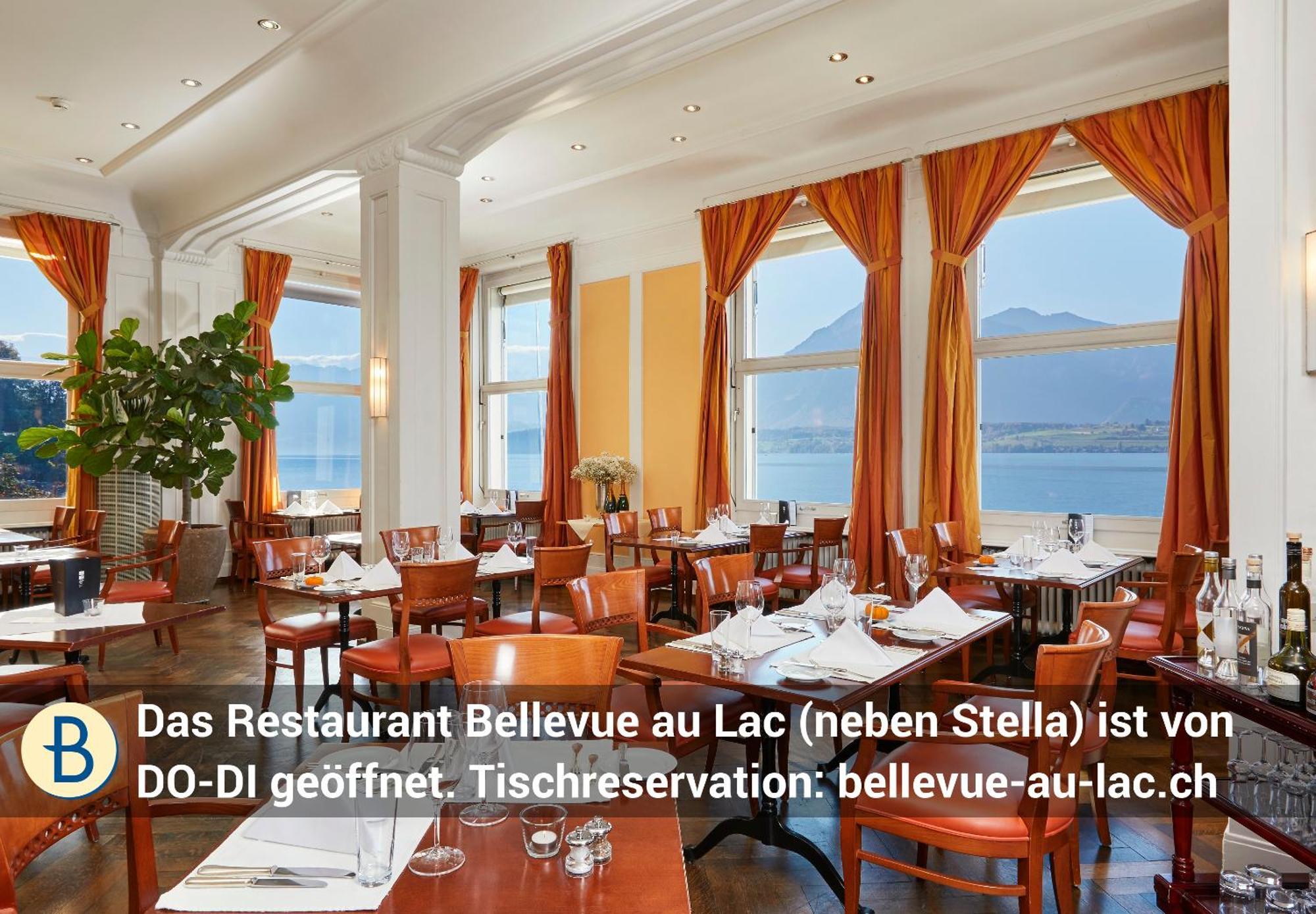 Dependance Stella Del Lago By Hotel Restaurant Bellevue Au Lac Тун Экстерьер фото
